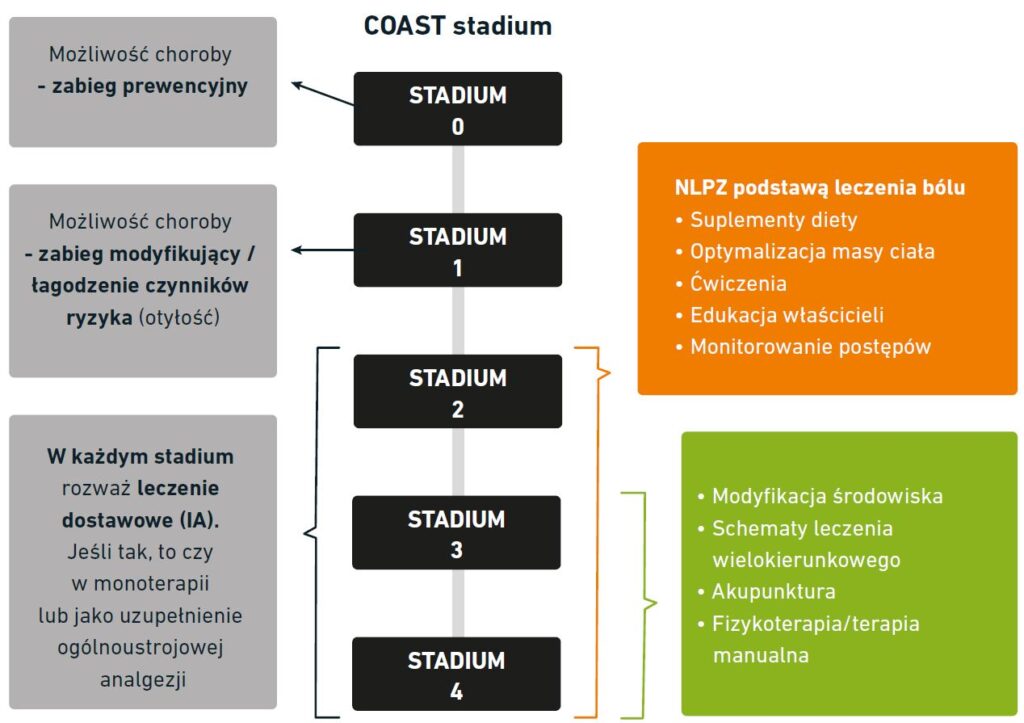 Schemat - analiza przypadku