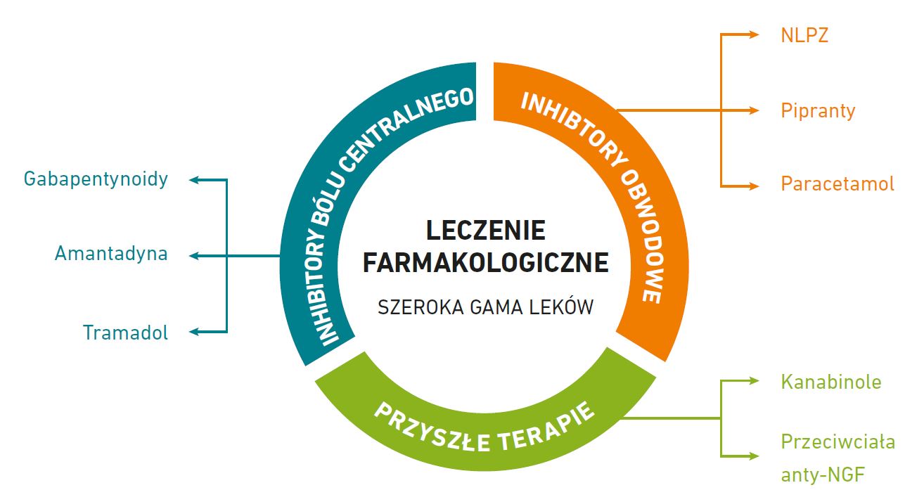 Schemat zależności