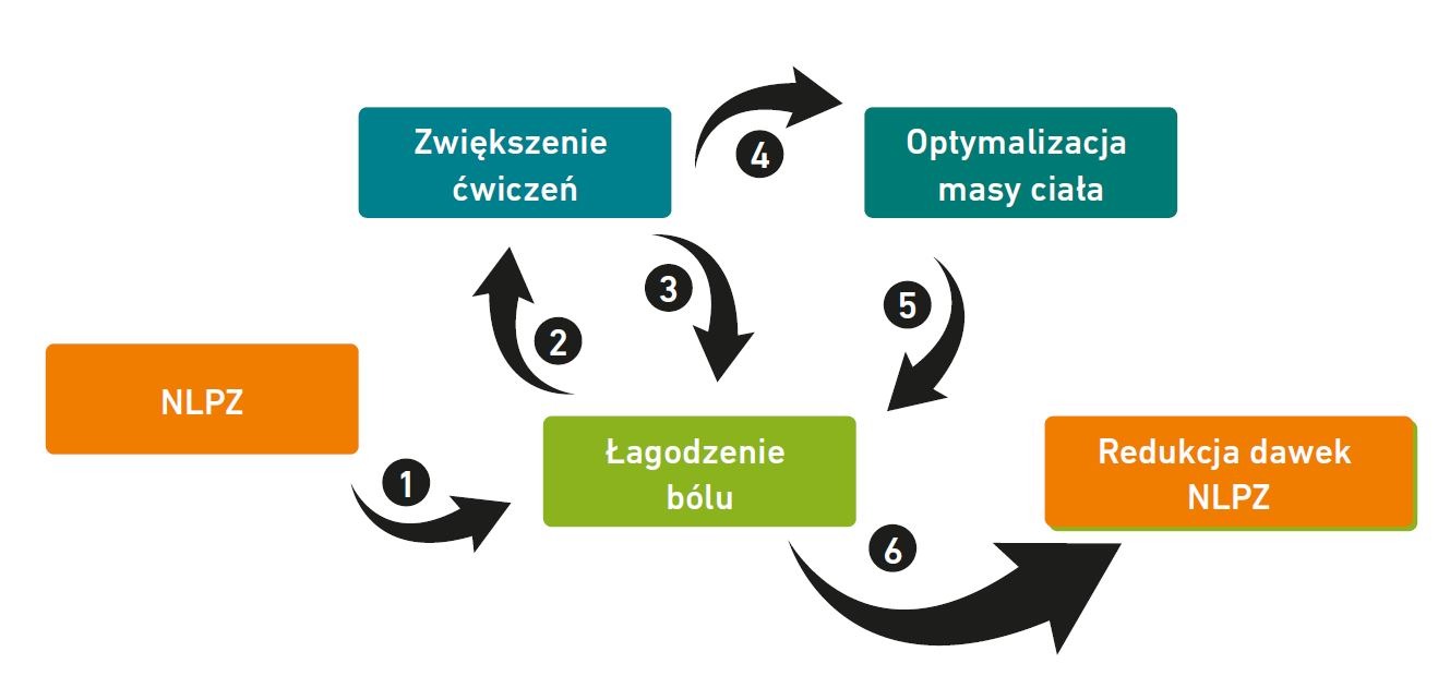 Schemat zależności