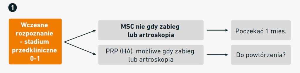 Schemat - analiza przypadku