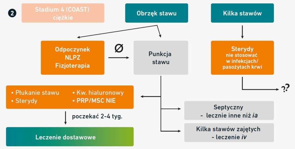 Schemat - analiza przypadku