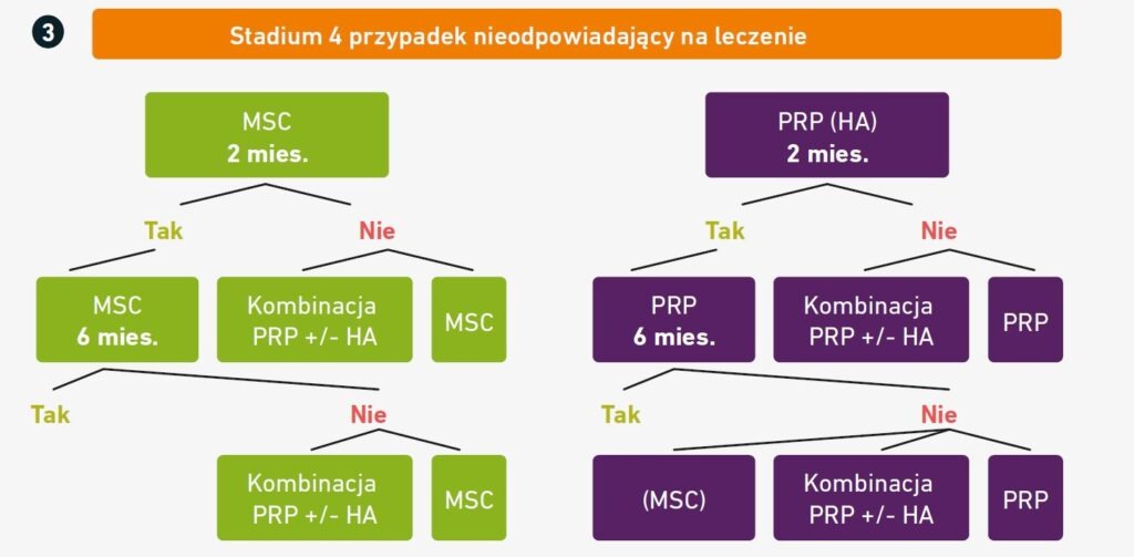 Schemat - analiza przypadku