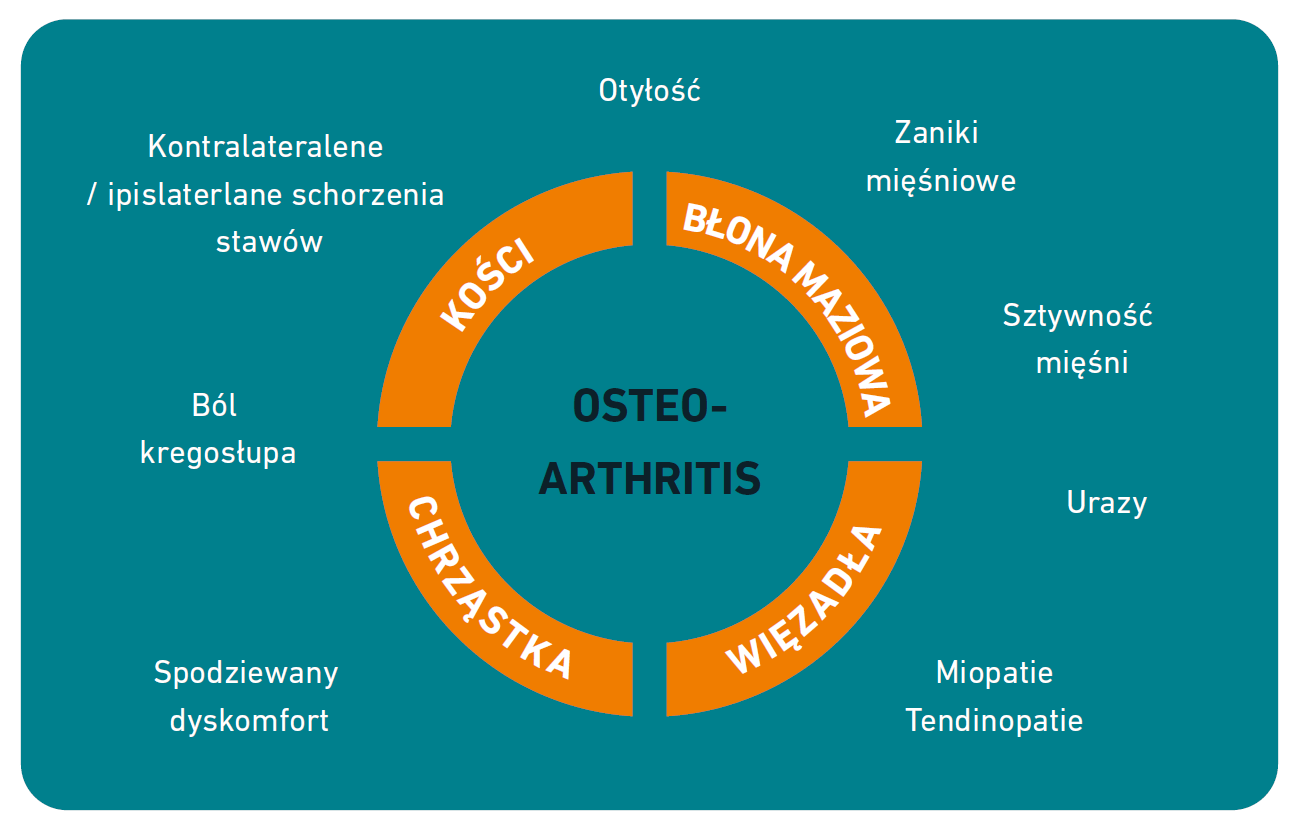 Schemat zależności