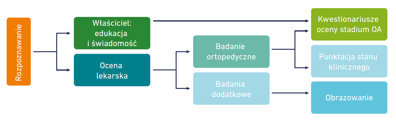 Schemat - analiza przypadku