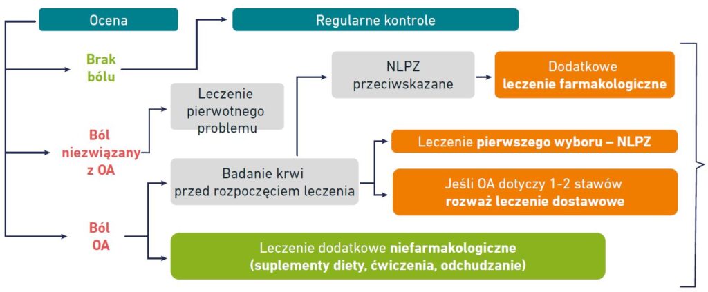 Schemat - analiza przypadku
