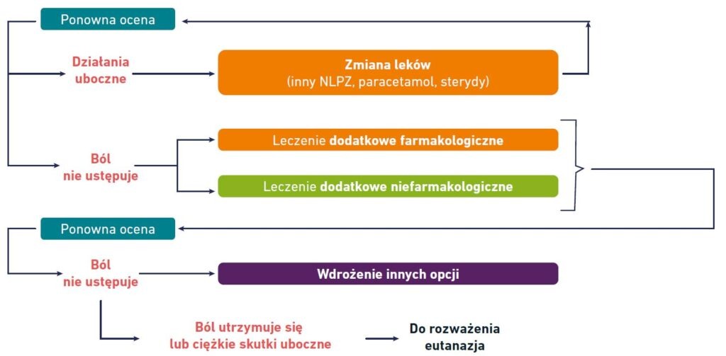Schemat - analiza przypadku