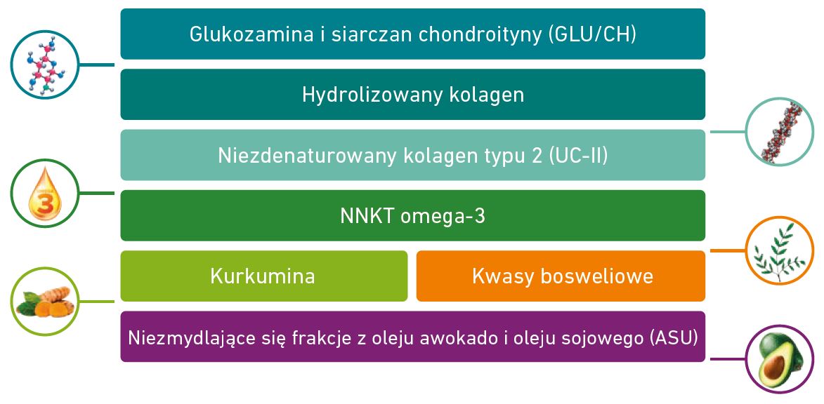 Schemat zależności