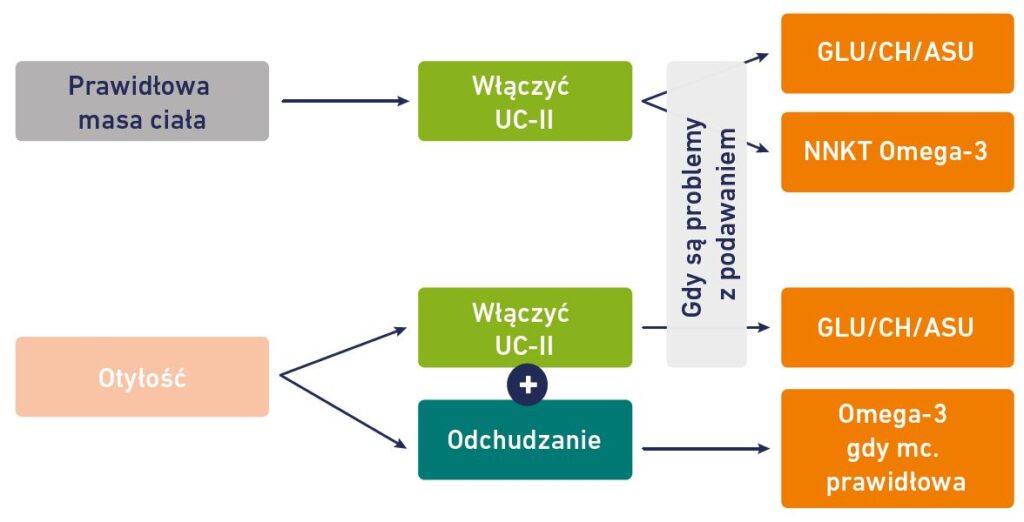 Schemat - analiza przypadku