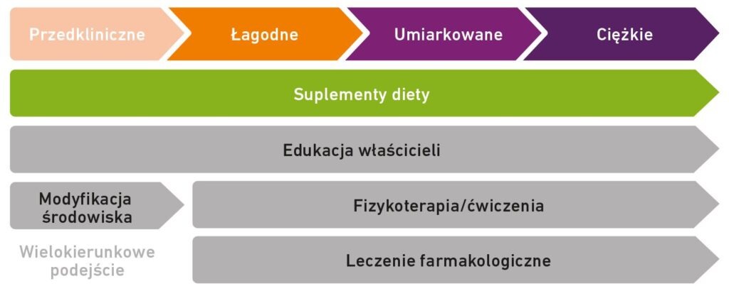 Schemat - analiza przypadku